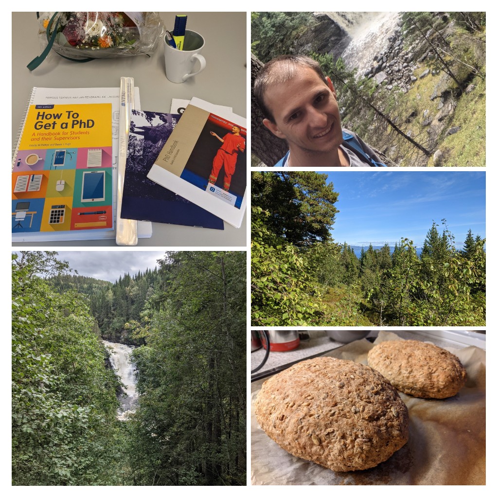 Ph.D. start, hiking, berry and mushroom picking, the second selfmade bread