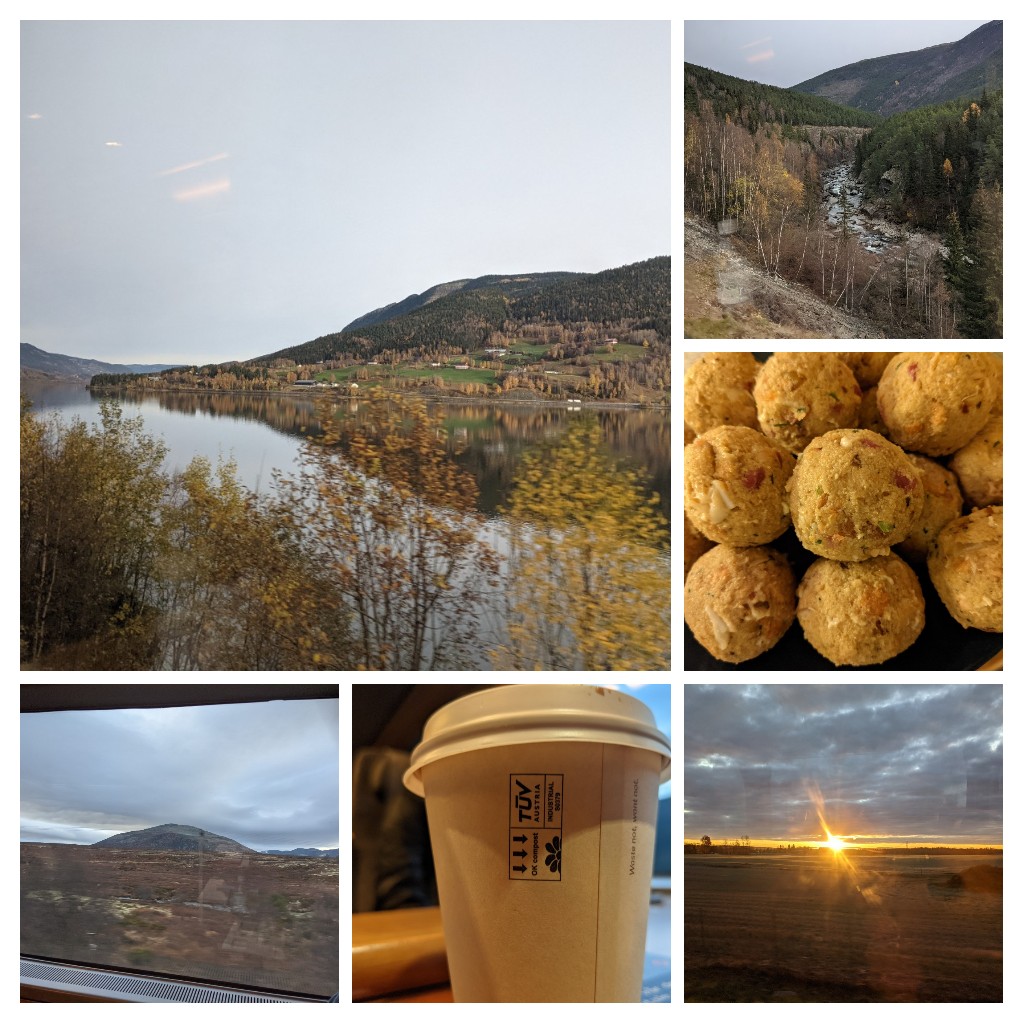 Train trip to Oslo and back and 'Tiroler Knödel'